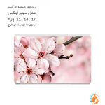 رادیاتور شیشه ای آنیت سوپرلوکس گل
