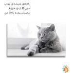 رادیاتور شیشه ای بهتاب سایز M طرح گربه