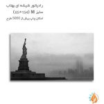 رادیاتور شیشه ای بهتاب سایز M طرح مجسمه استاتوس